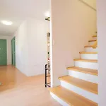 La Casa Del Maestro * Cerezo de Abajo